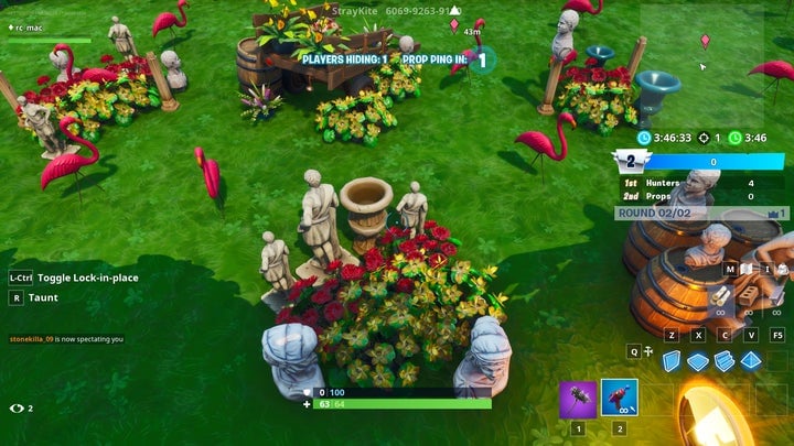 I’m the yellow bush.