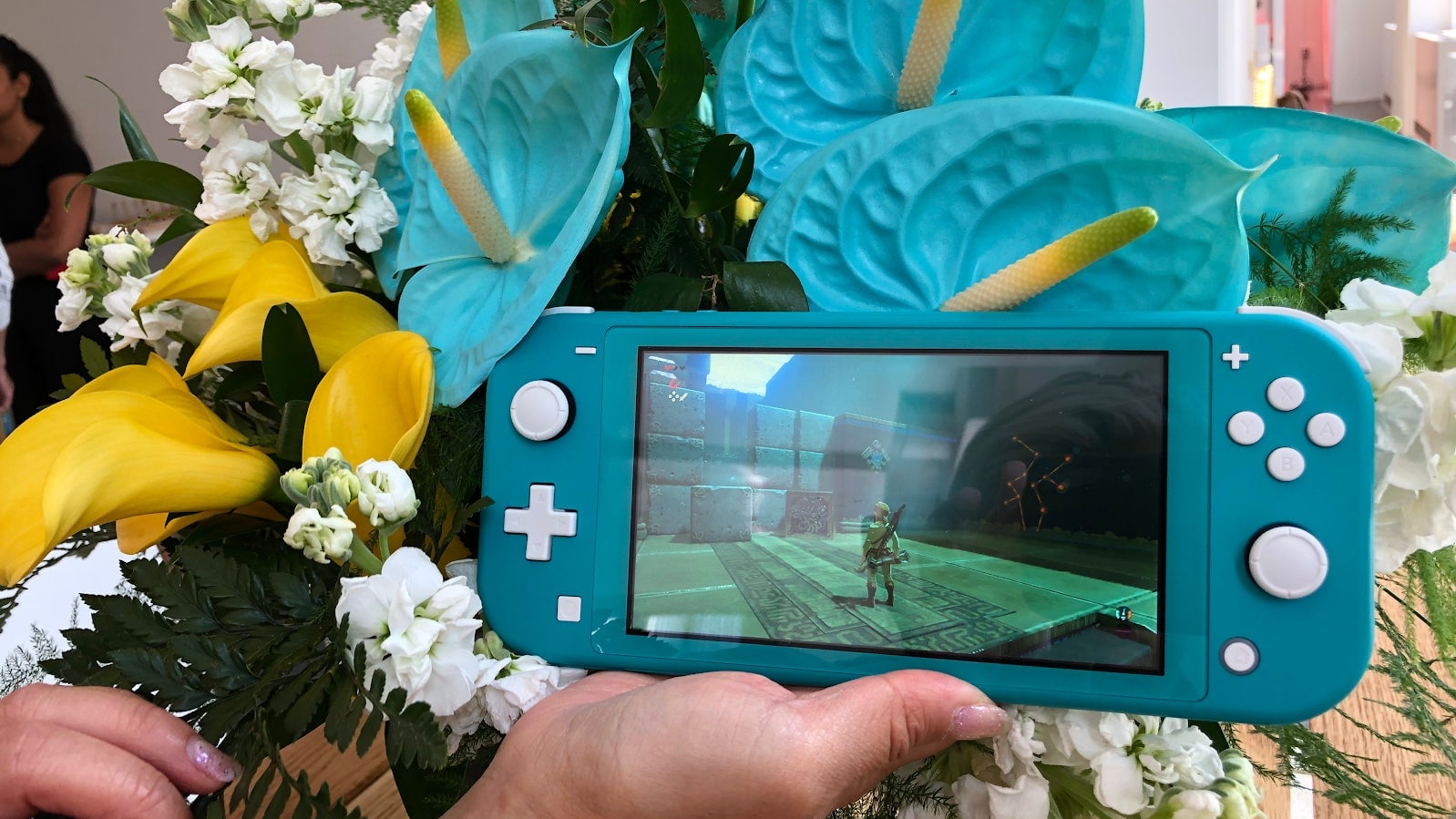 The Nintendo Switch Lite.
