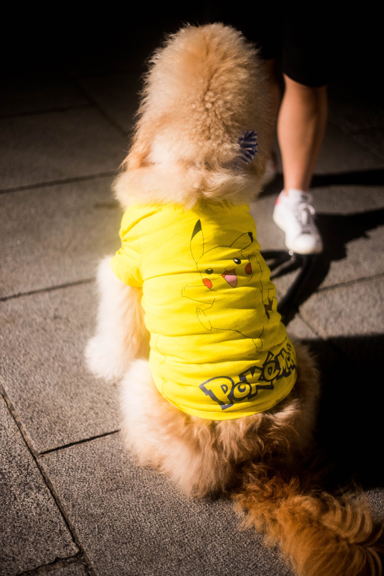 Photo: Amanda Silberling