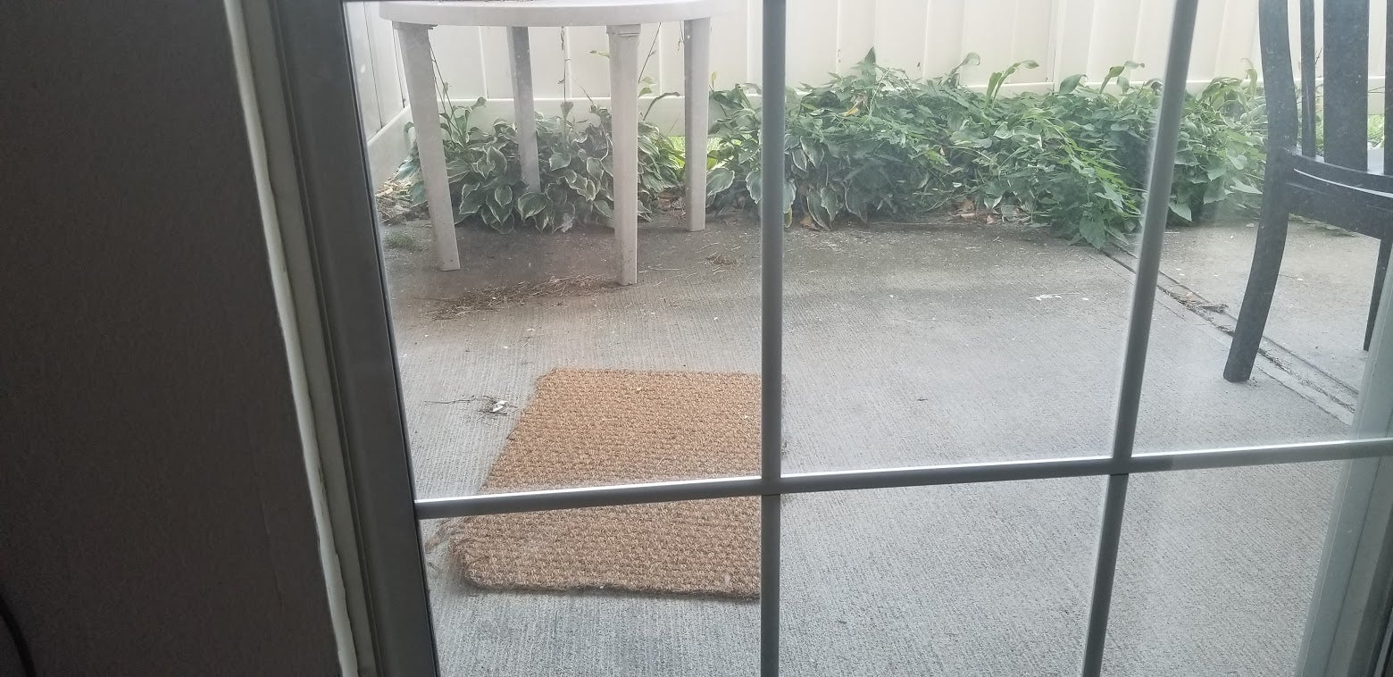 I’ve not moved the rug back in and it remains where it landed after the flip.