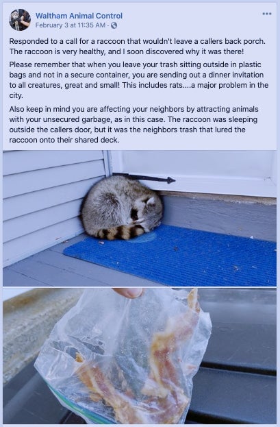 At least one of us got a photo of the bacon.