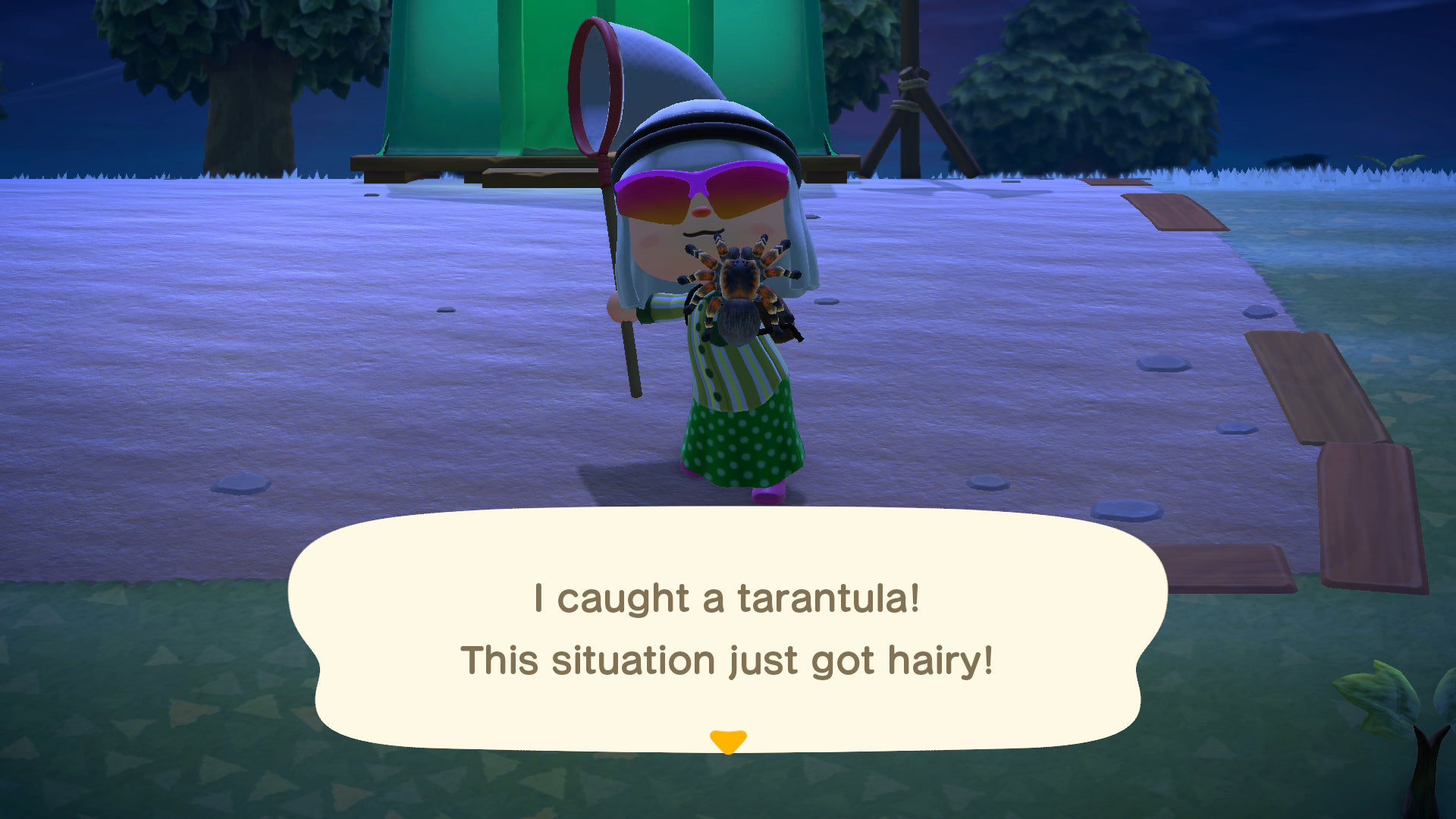 Screenshot: Nintendo