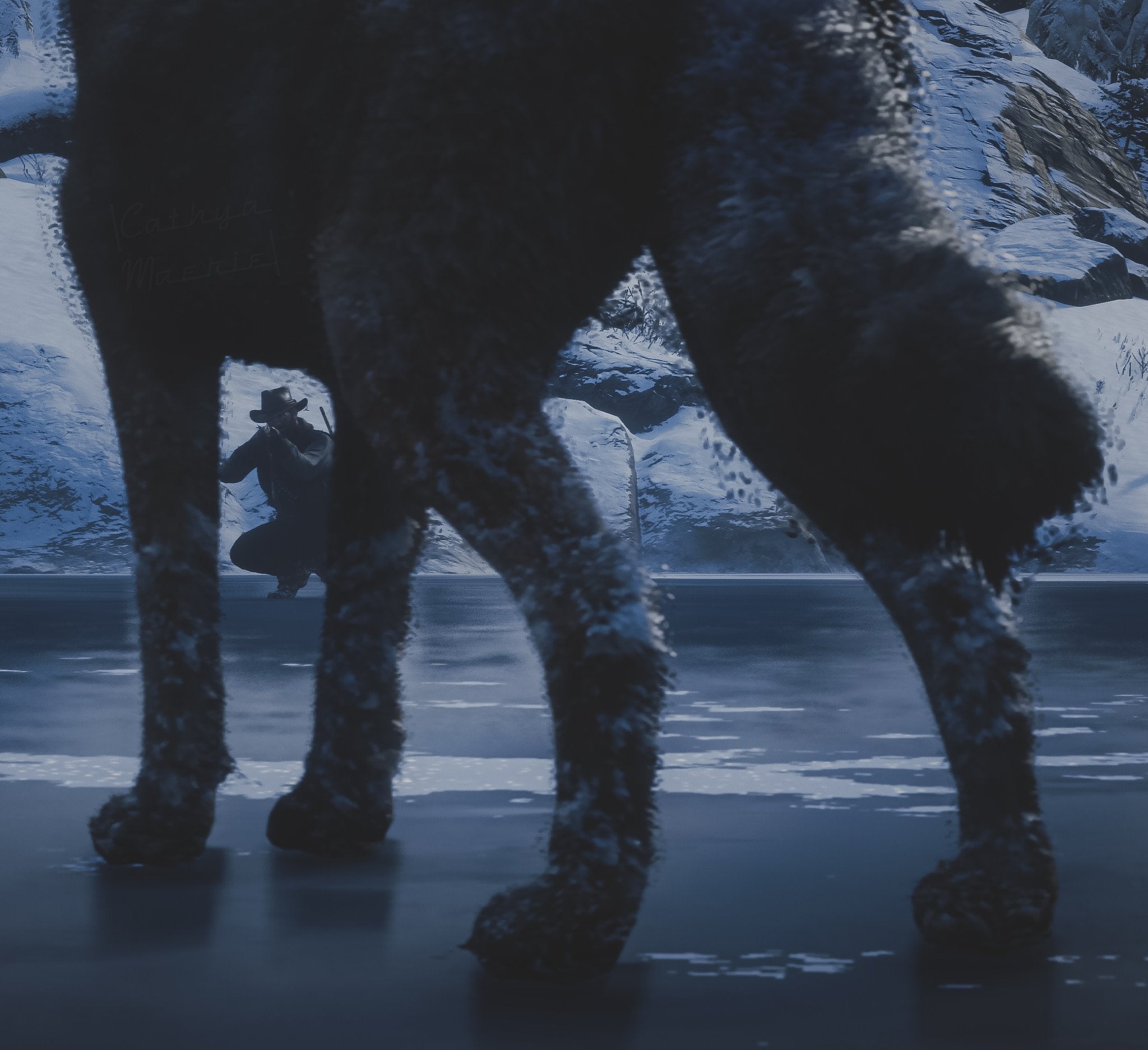 Red Dead Redemption II