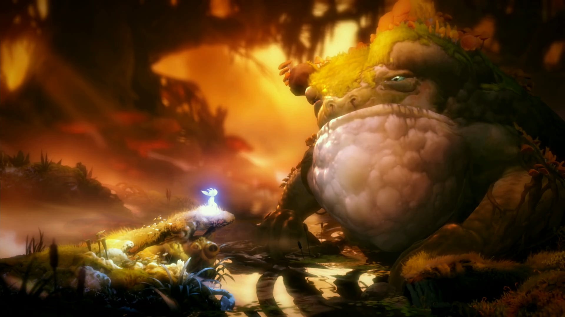 When this big boy first appeared I called over my wife and we just stared for a minute.