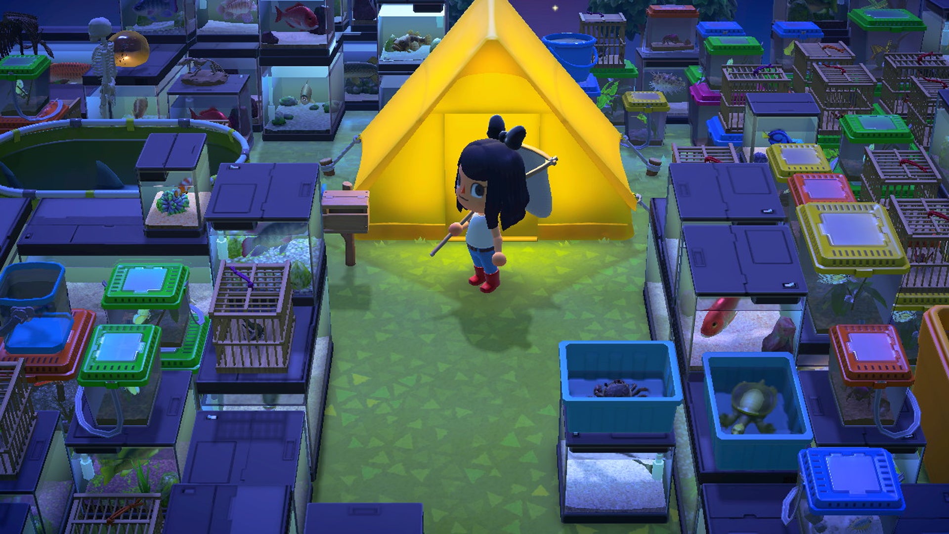 Screenshot: @Pop_lys