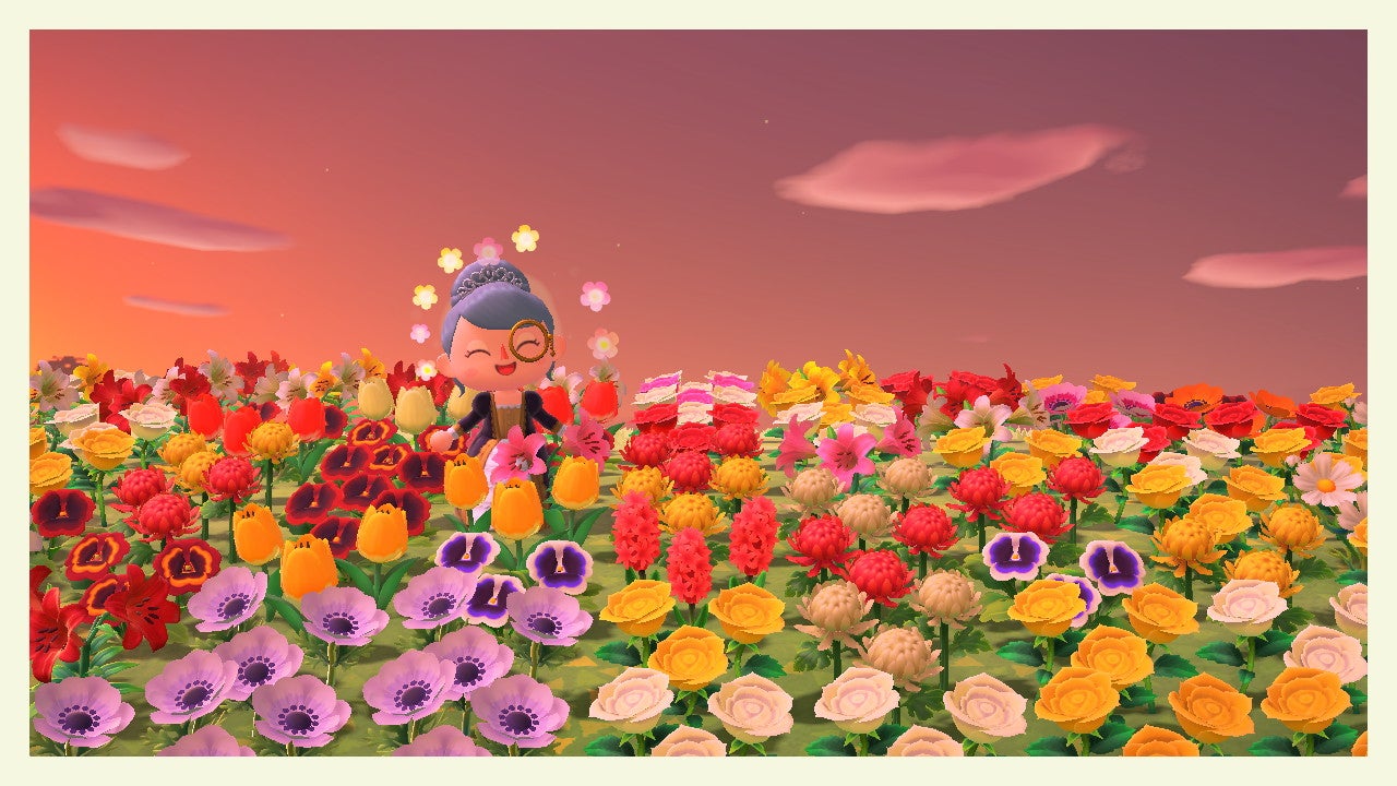 Animal Crossing: New Horizons