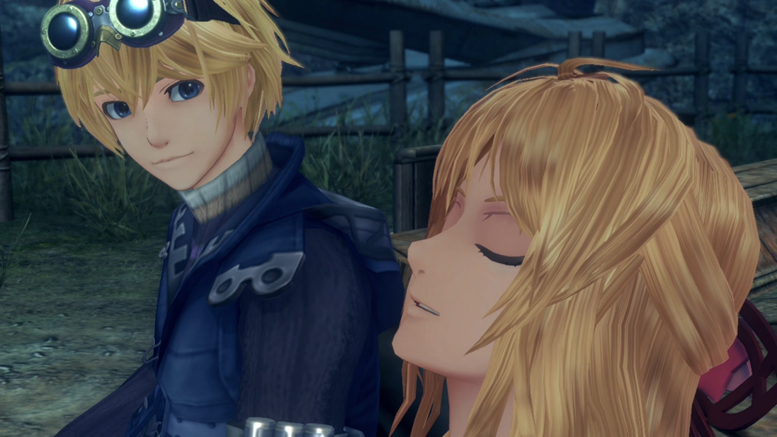 They are so pretty now. 