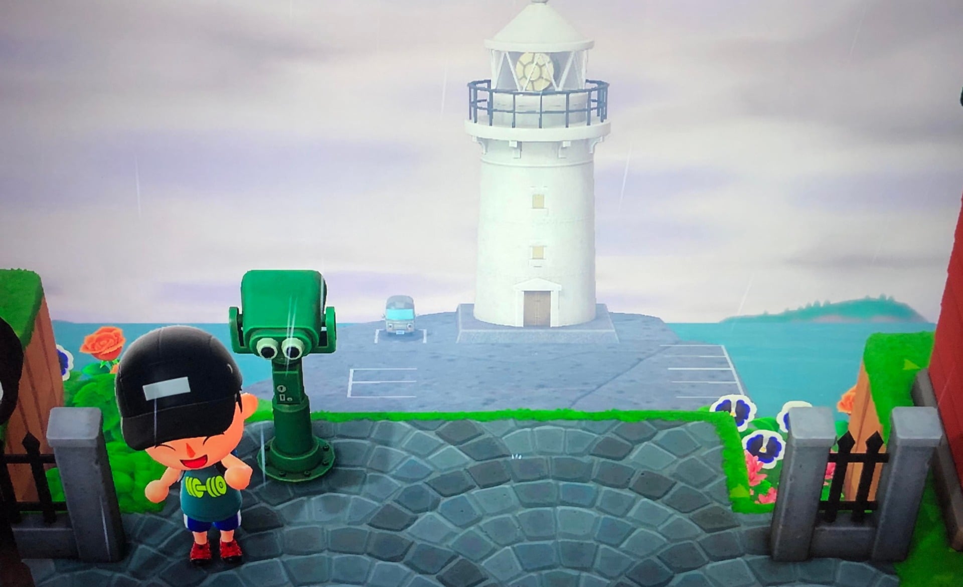 Screenshot: Nintendo