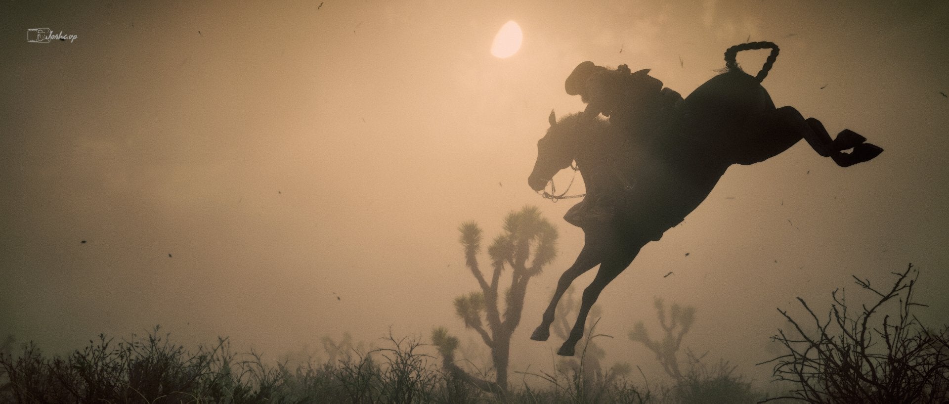 Red Dead Redemption II