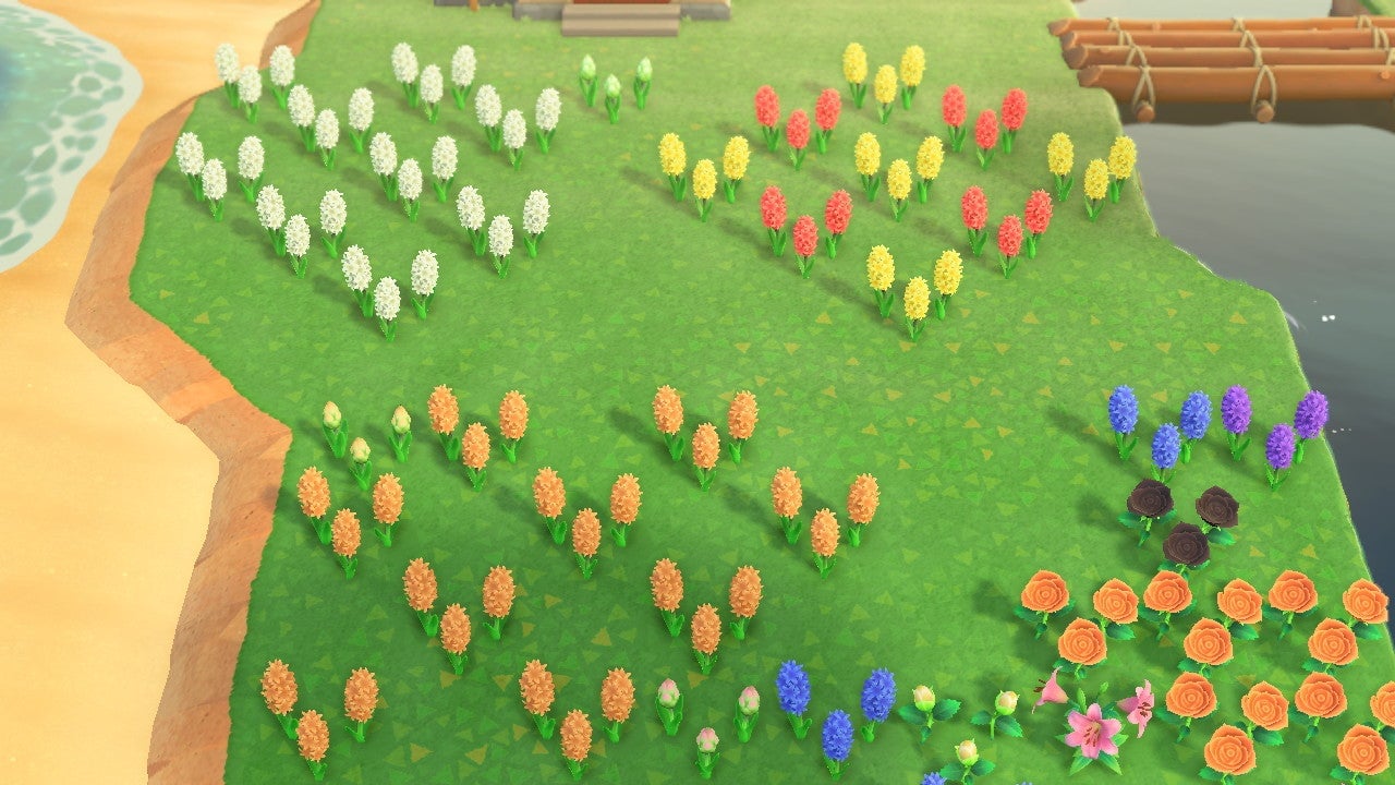 A small portion of the infestation. I probably planted these way too close to Cranstonâs house. Sorry buddy!