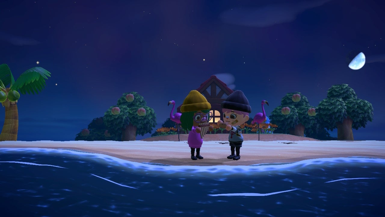 Screenshot: Nintendo