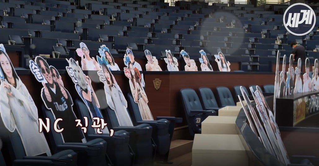 Screenshot: 세계일보