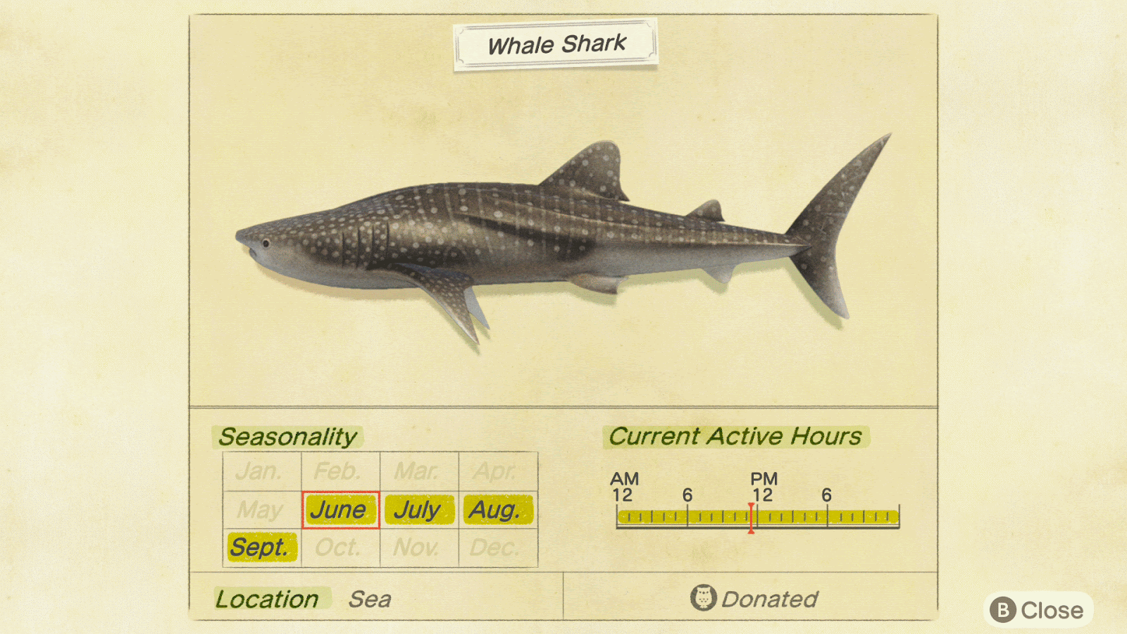 I have yet to catch the elusive saw shark. 