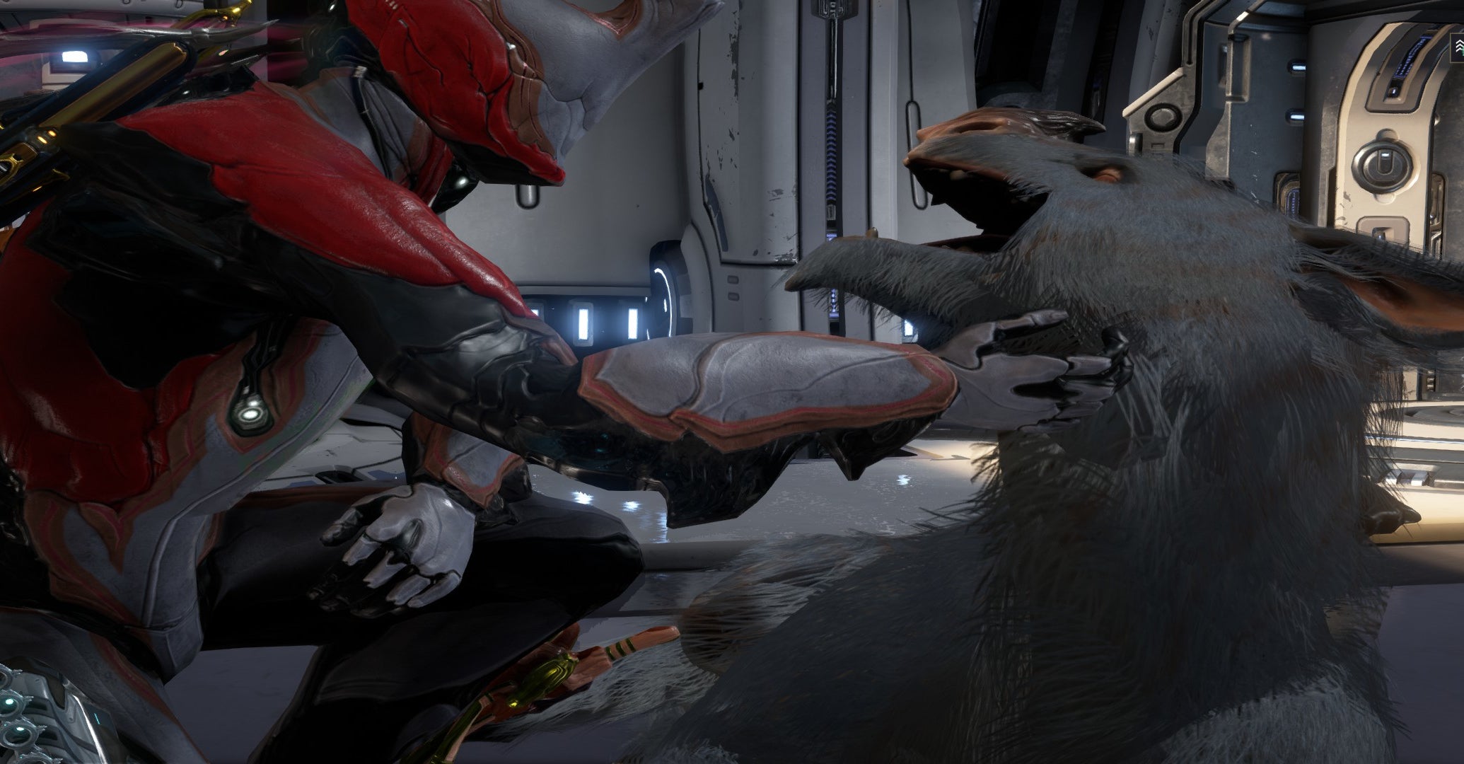 Screenshot: Digital Extremes / Kotaku
