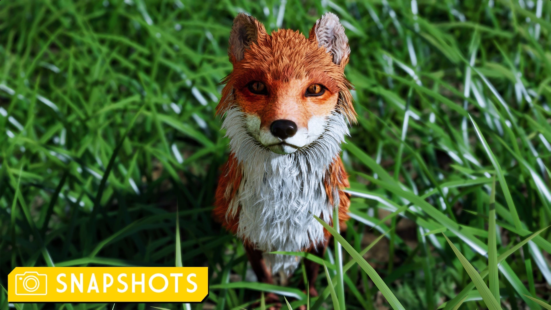 Screenshot: @MechXican