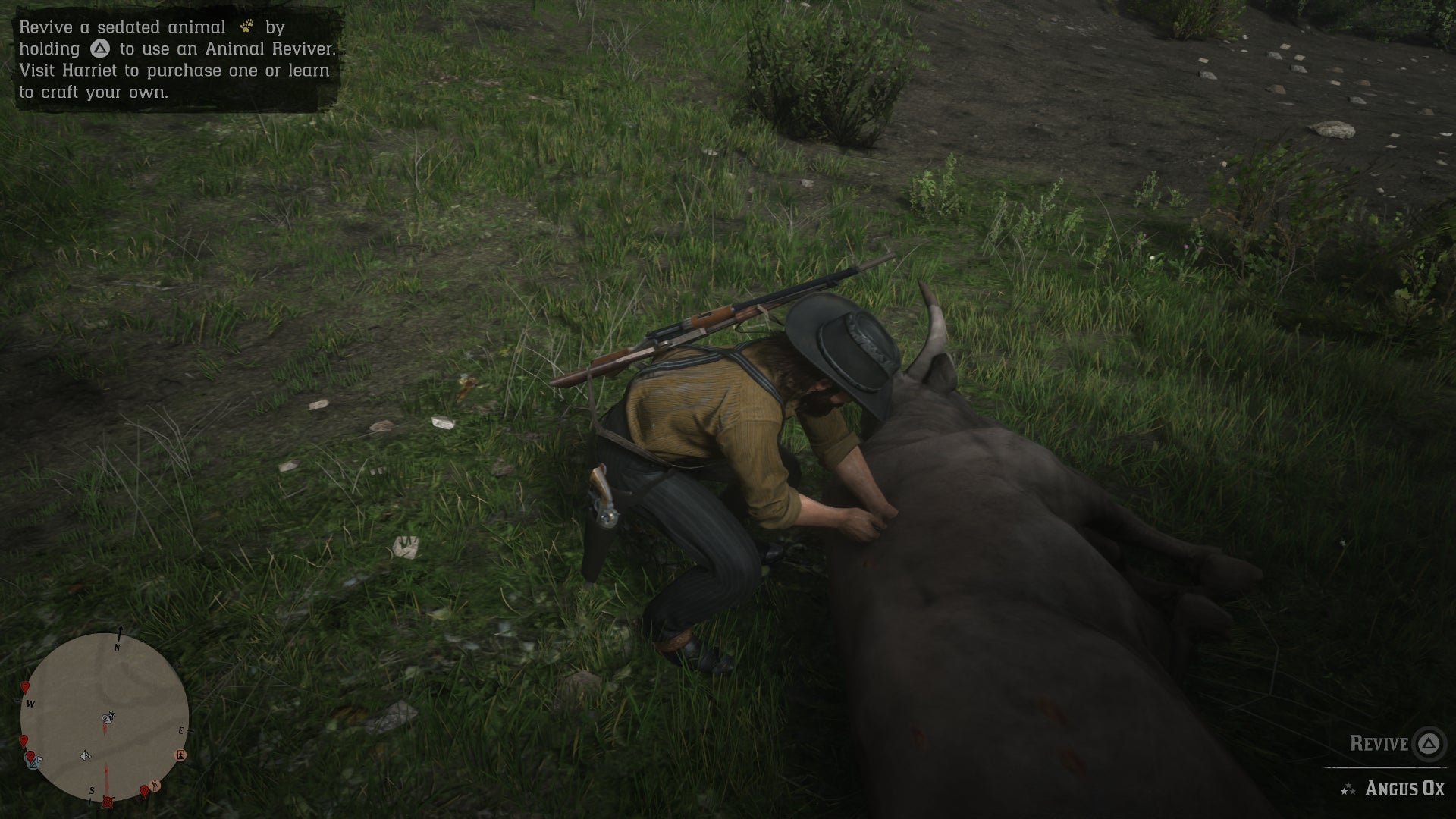 Screenshot: Rockstar Games / Kotaku