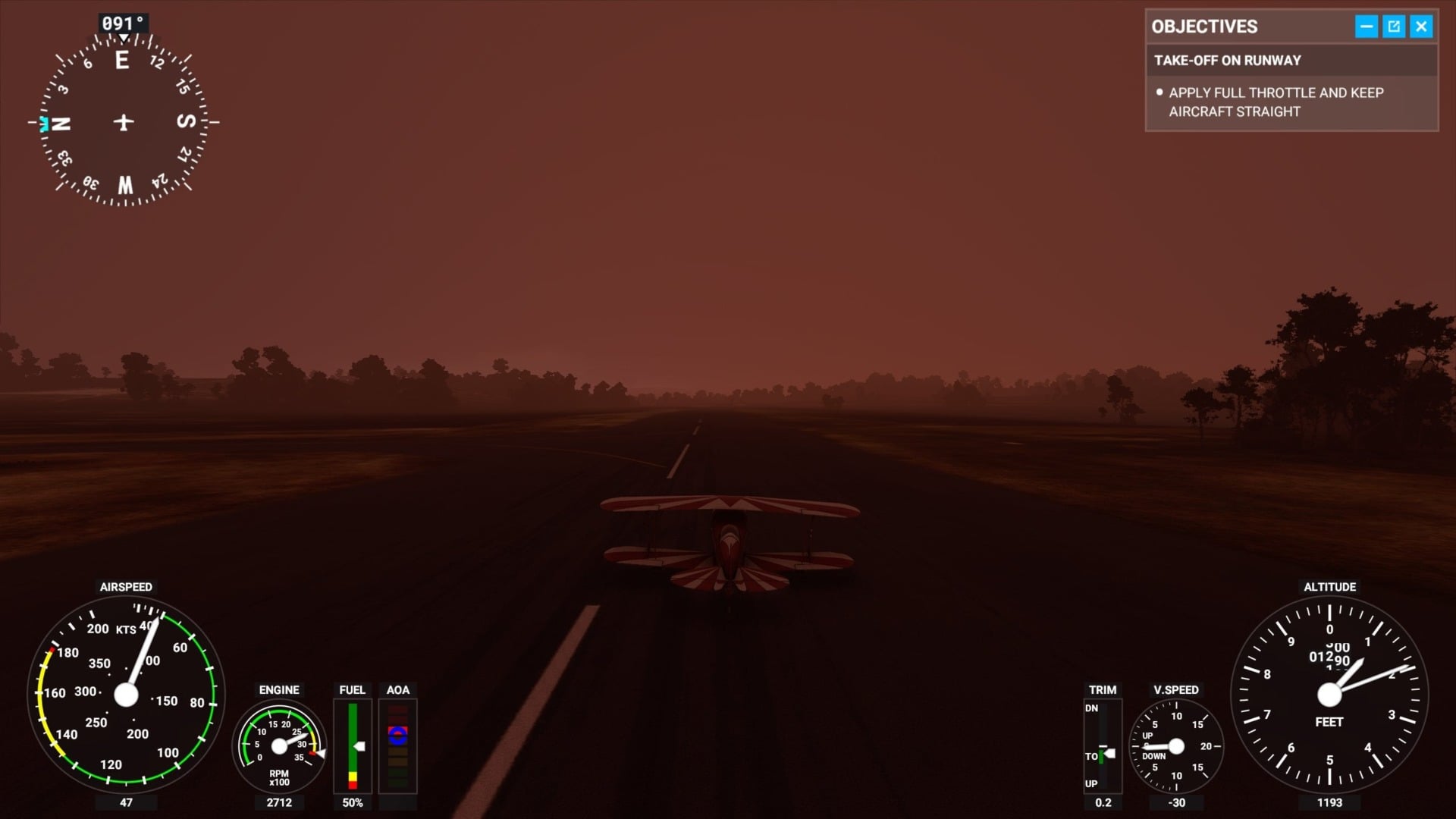 Image: Flight Simulator