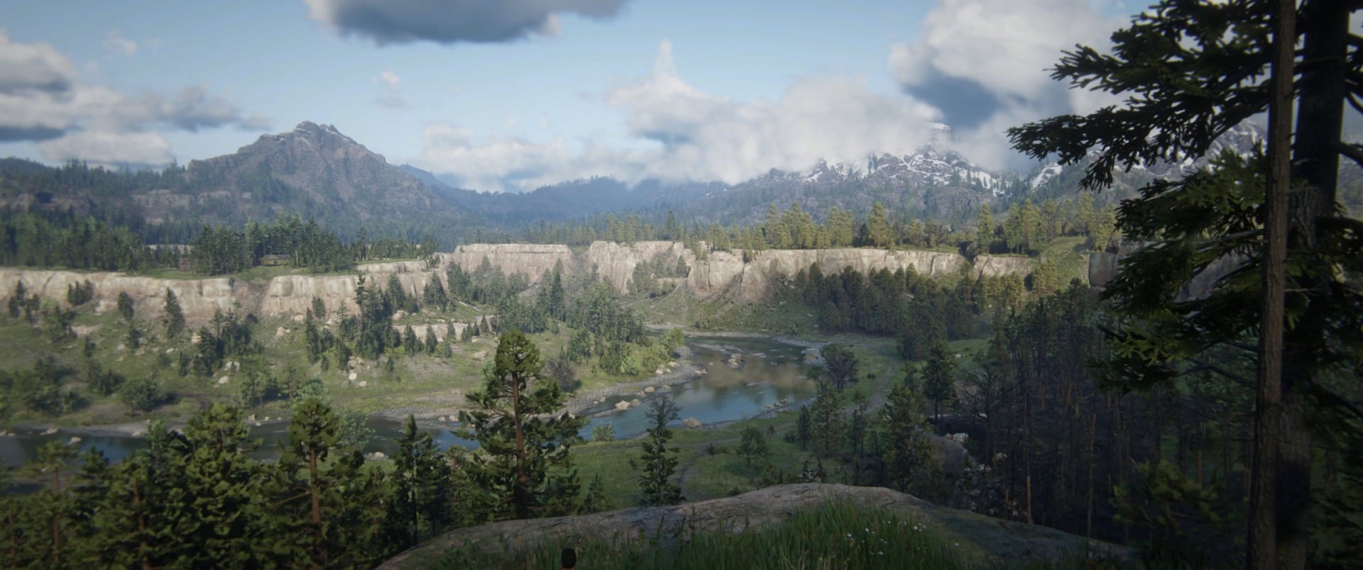 Screenshot: Red Dead Redemption 2