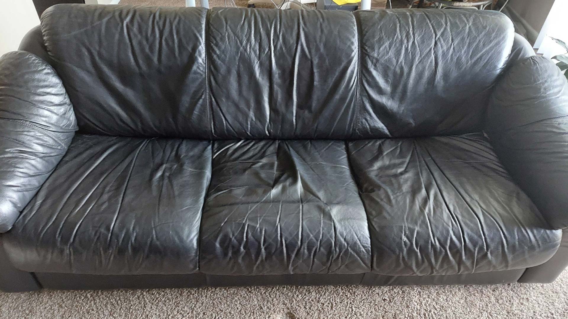 Practically a member of the family... that you sit on.