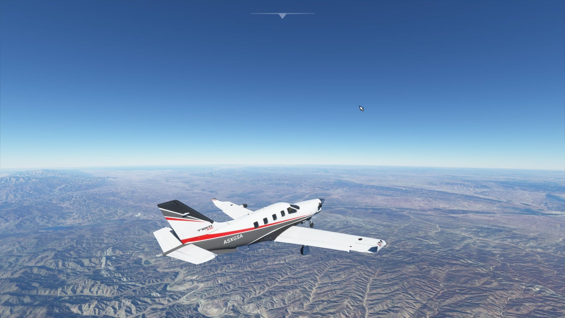 Microsoft Flight Simulator.