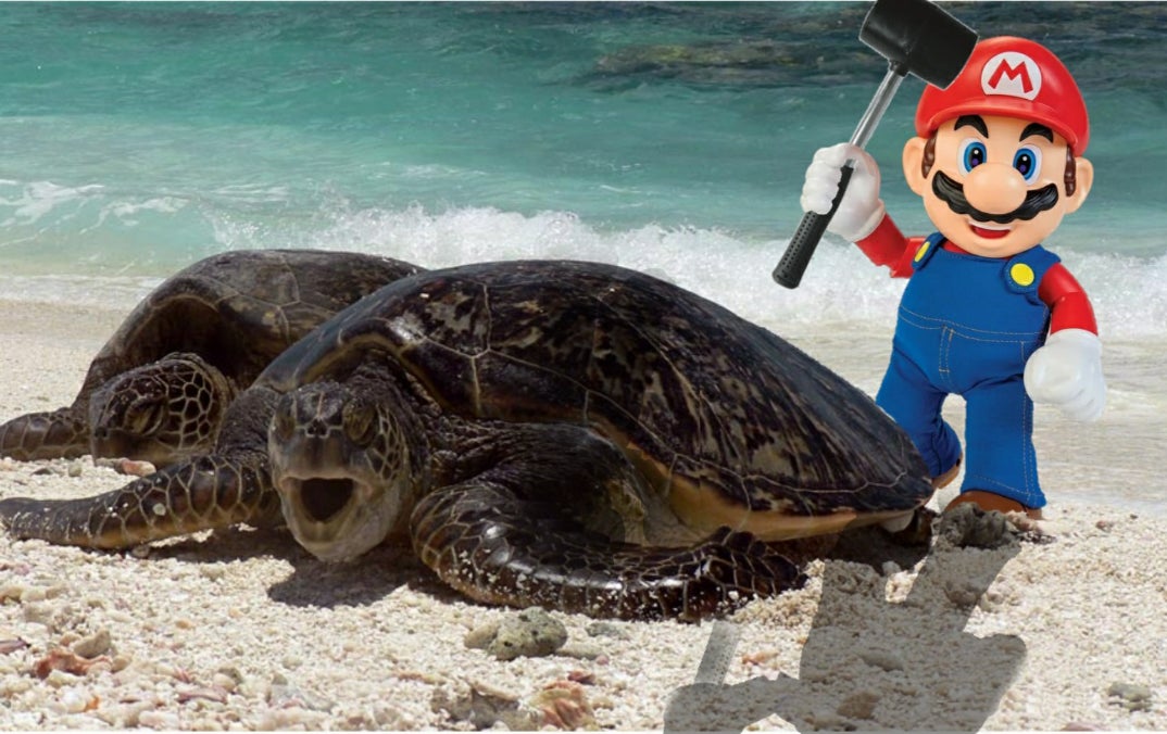 Bob The Rock should go to jail for this and many other things. 