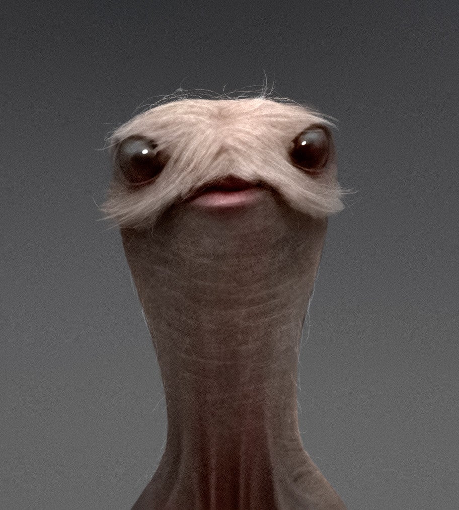 Illustration: Roberto Padula