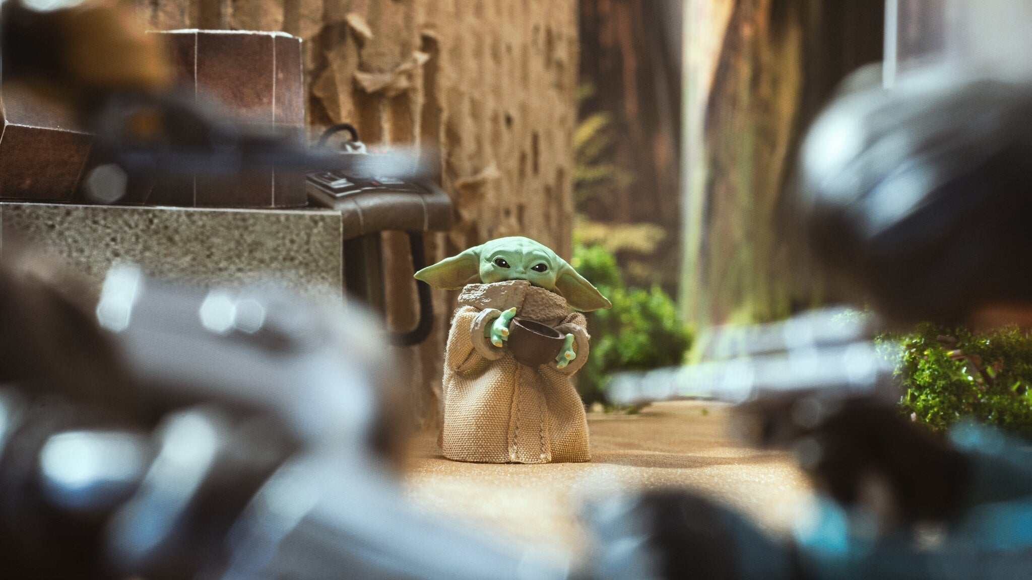 Photo: Matthew Cohen