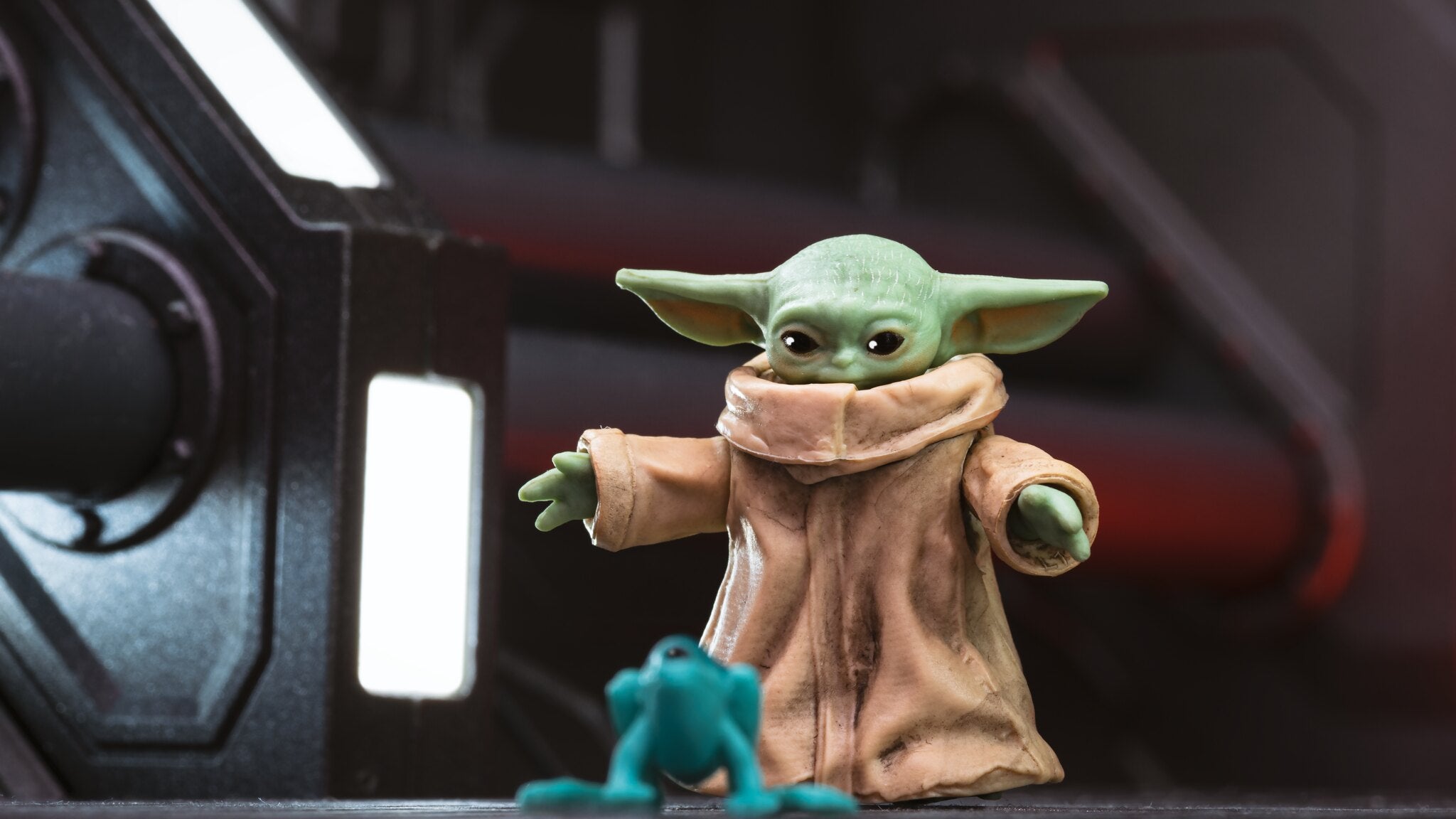 Photo: Matthew Cohen