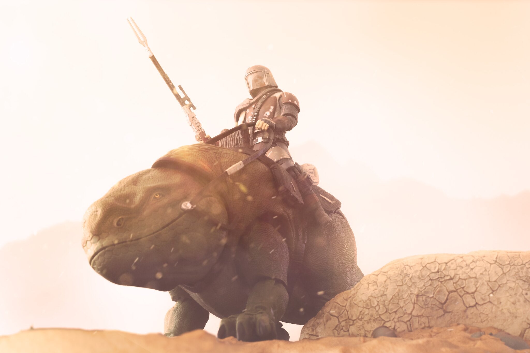 Photo: Matthew Cohen