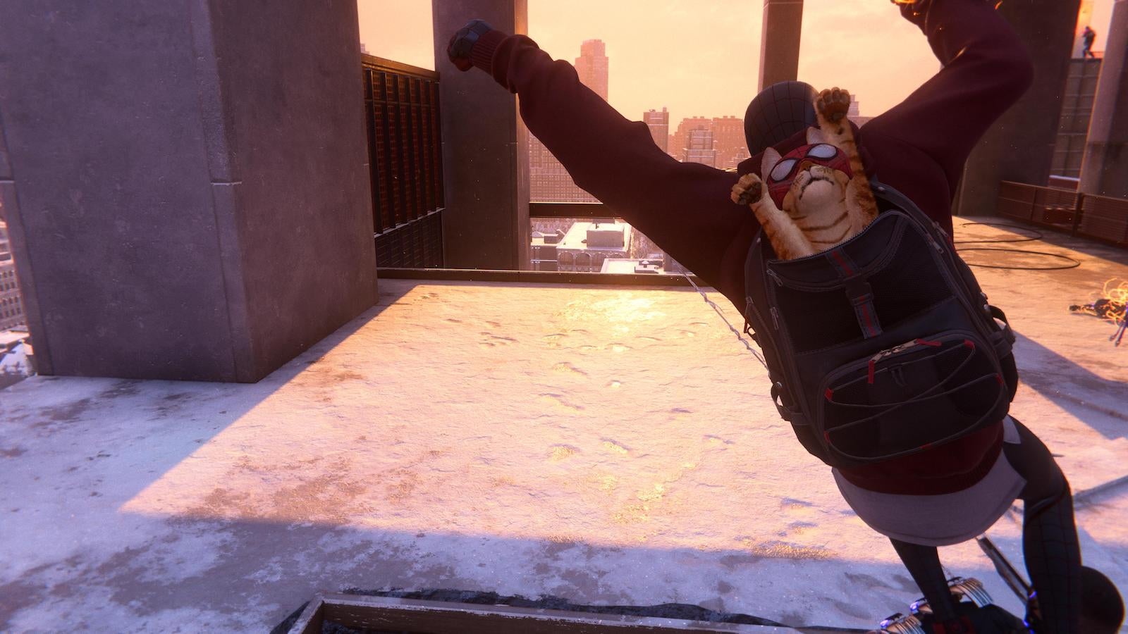 Anyone can be Spider-Man. All you have to do is raise your paws and believe in yourself (and hitch a ride on a web-slinging hero).