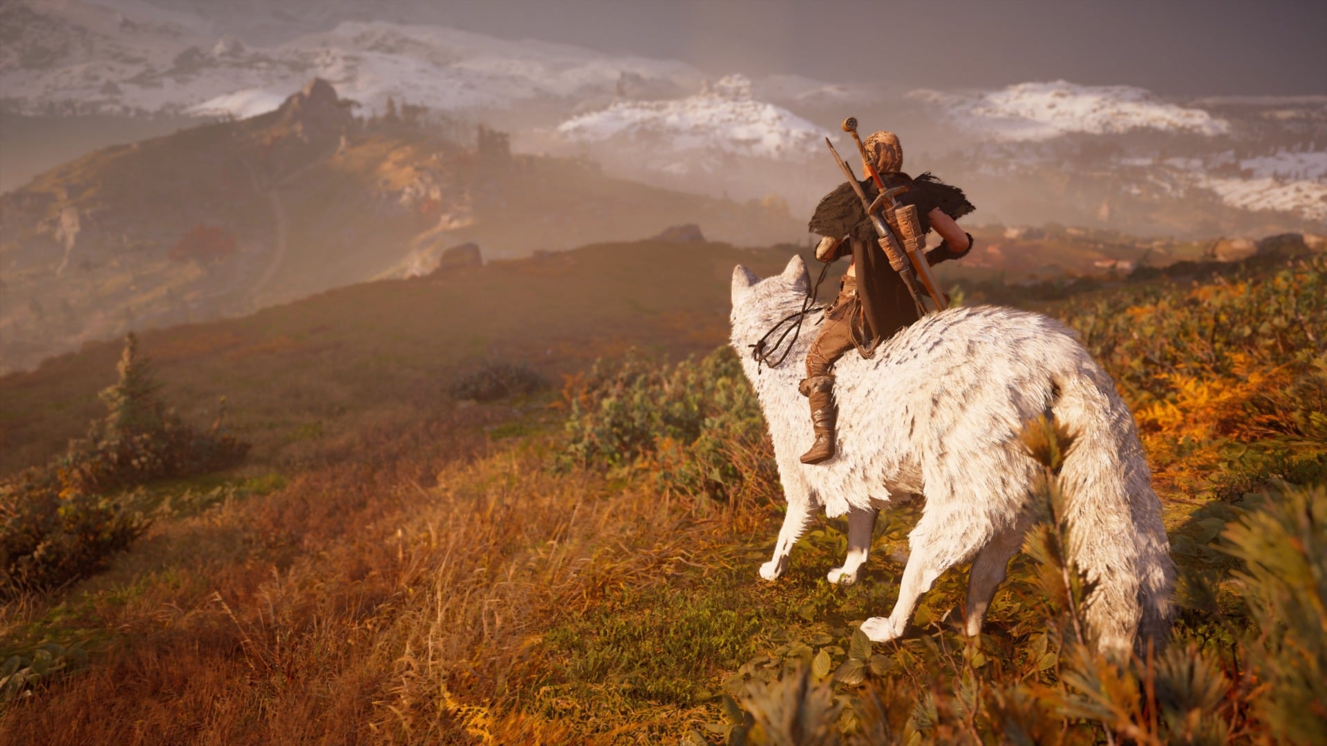 It’s a good wolf, but I don’t want it. 