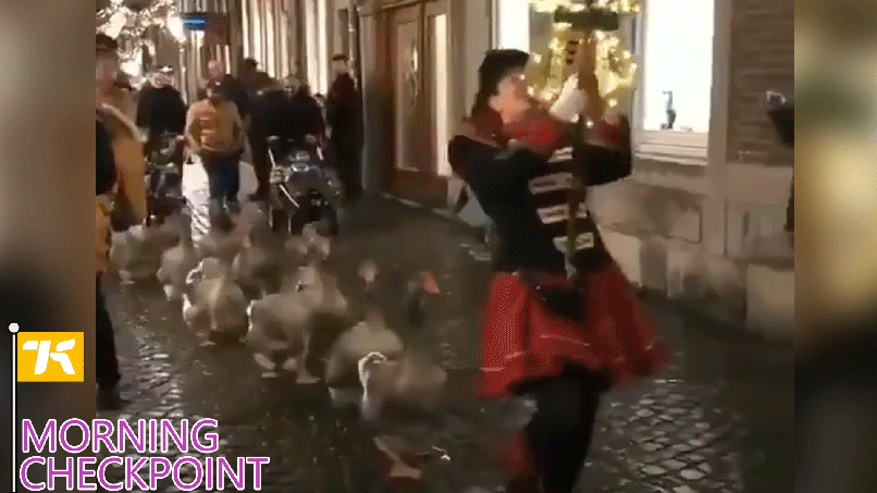 Gif: Santiago Mayer / Kotaku