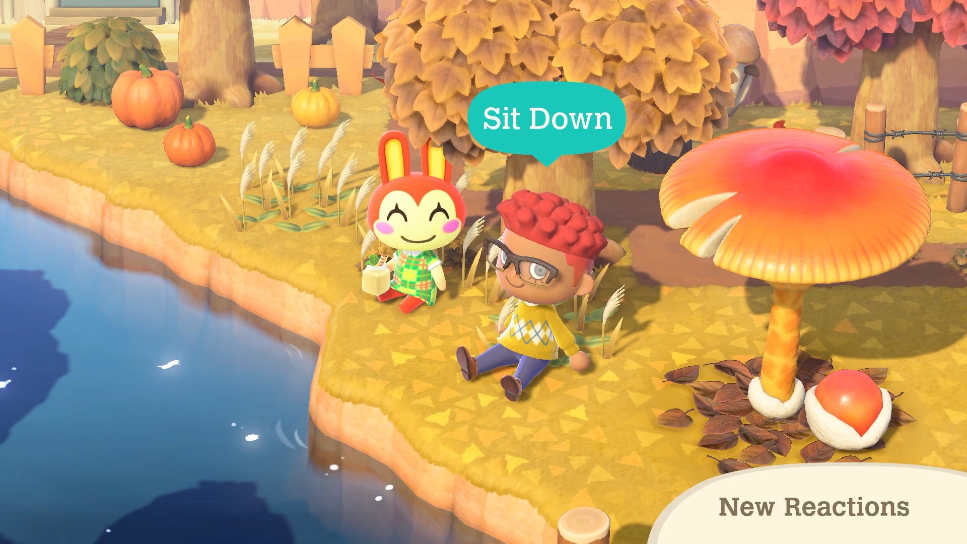 Screenshot: Nintendo