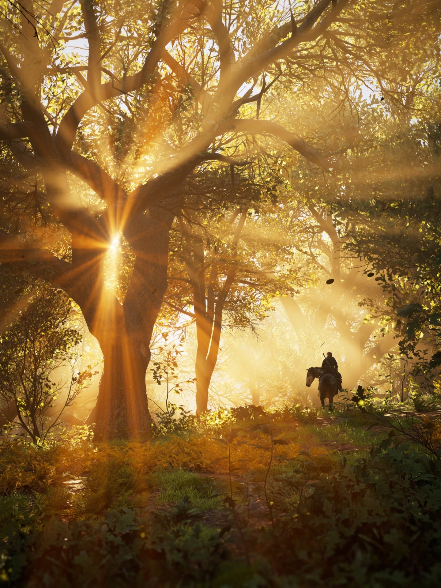 Screenshot: Andy Cull