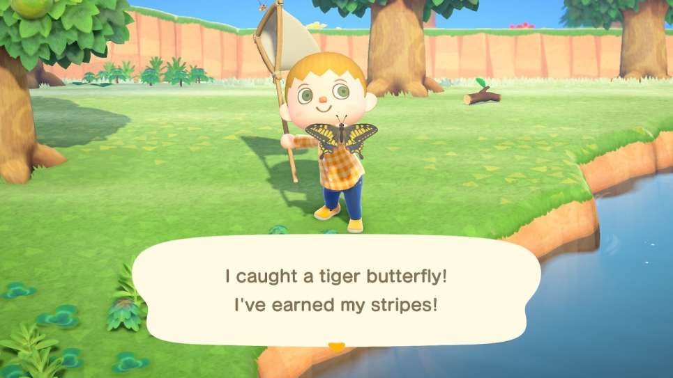 The breakout hit of the covid-19 era.