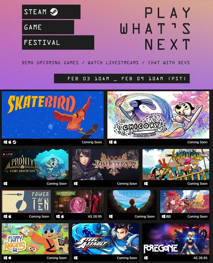 Image: Steam Gaming Festival