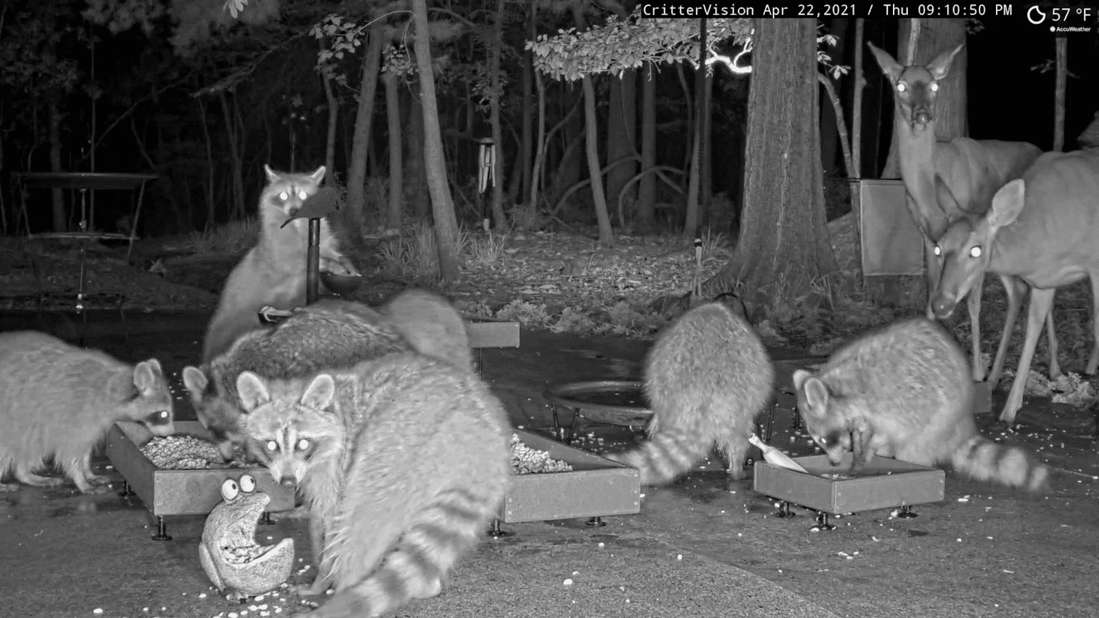 They arenāt up to no good, but they seem like theyāre up to no good.