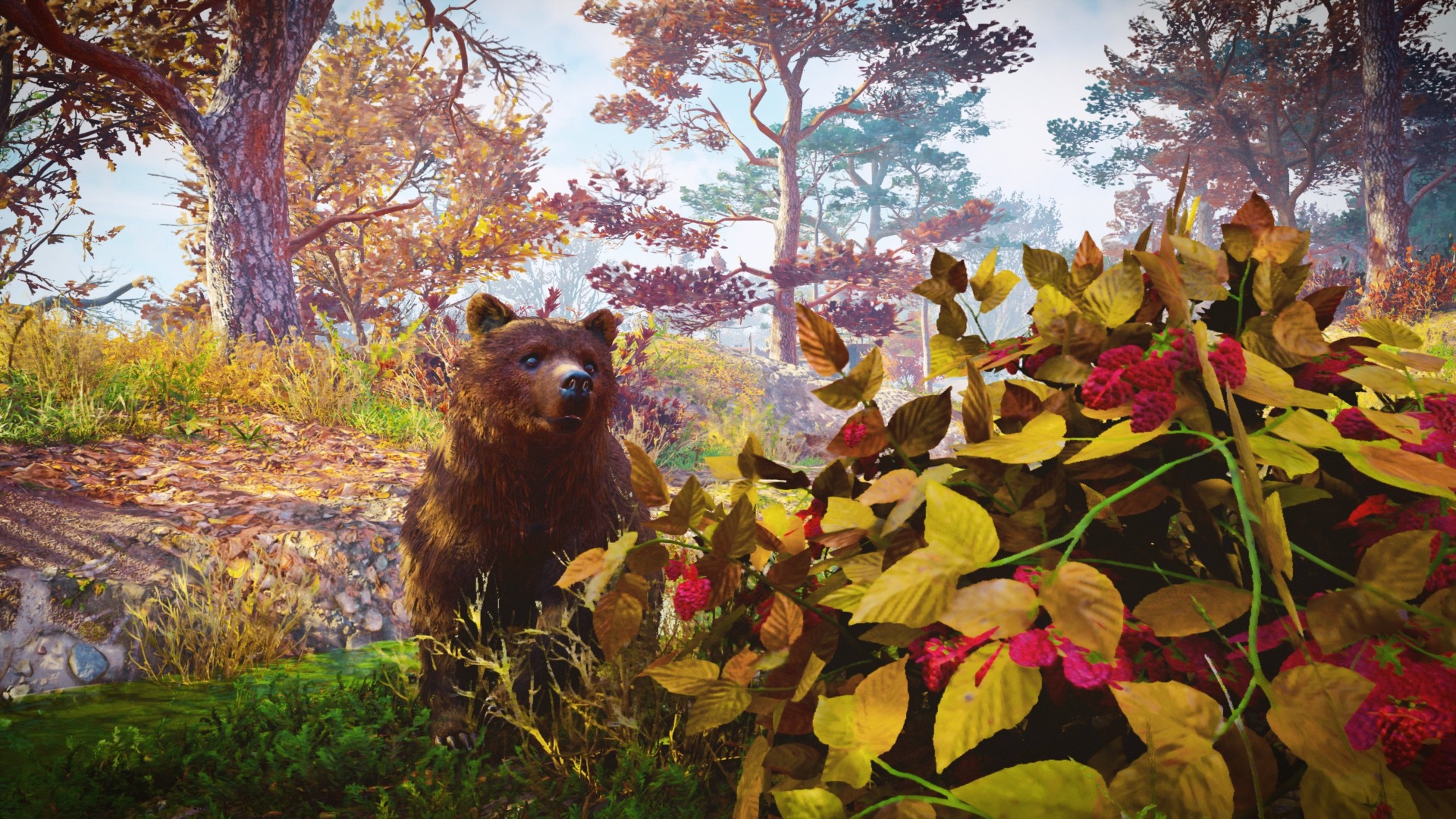 Assassin’s Creed Valhalla