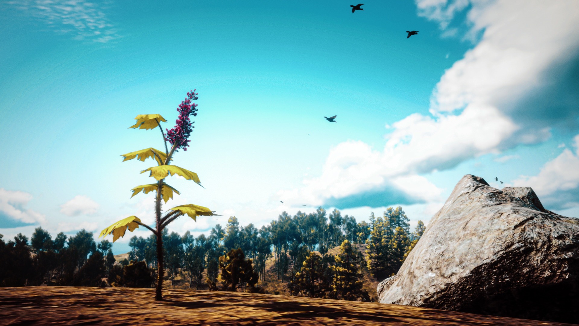 Red Dead Redemption II