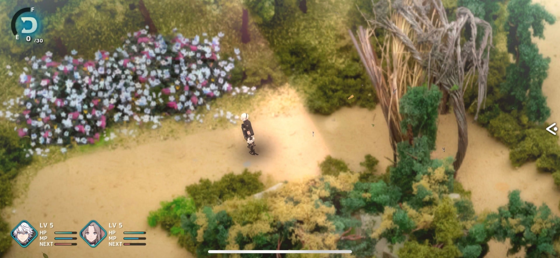 We could be sleeping in the flowers.