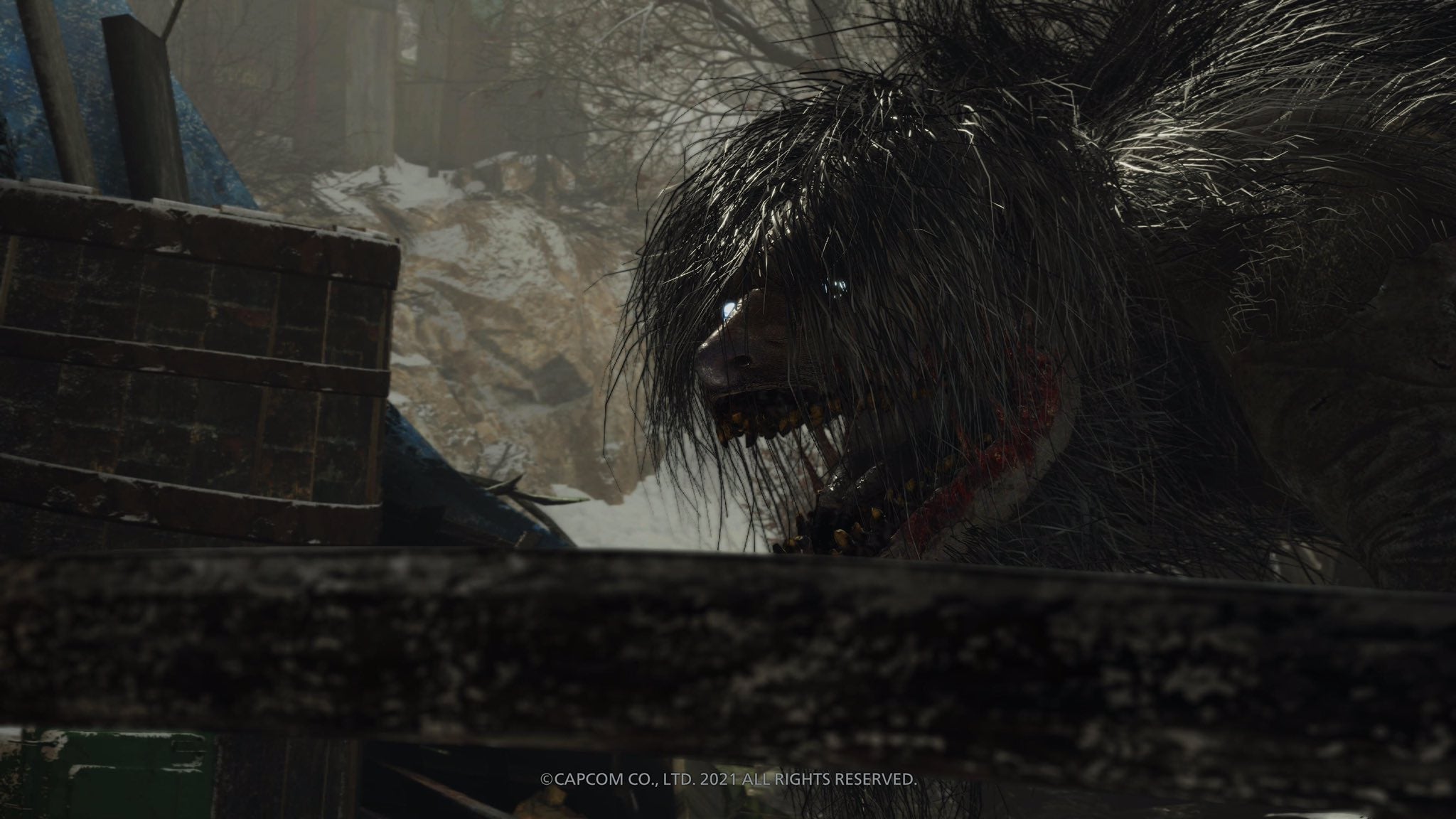 Resident Evil Village