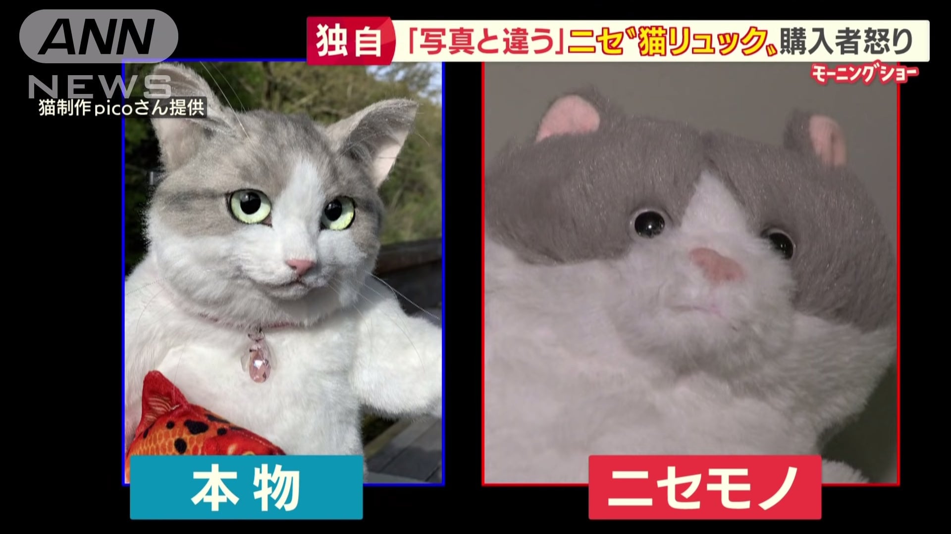 Screenshot: ANN News