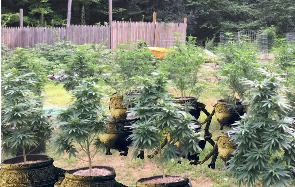 Bob The Rock are you still here? Get out of here.