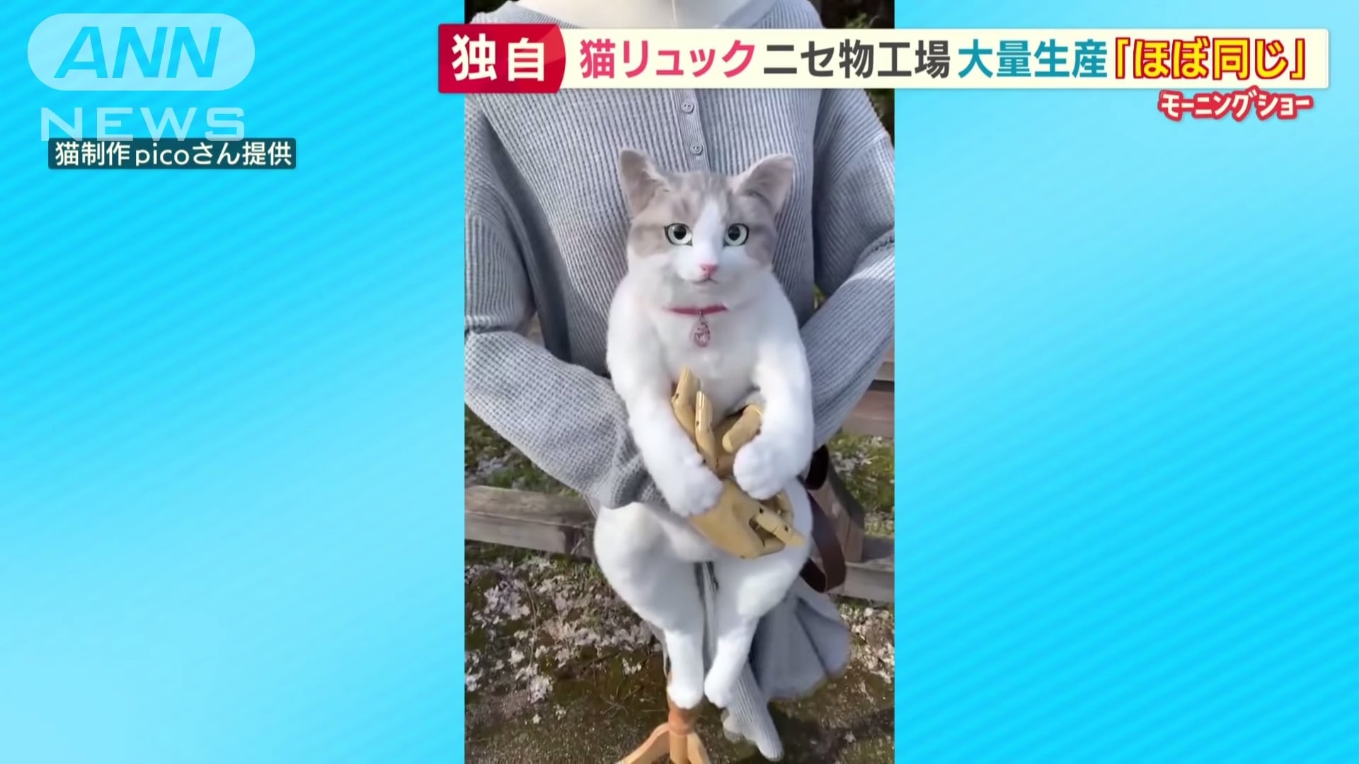 Screenshot: ANN News