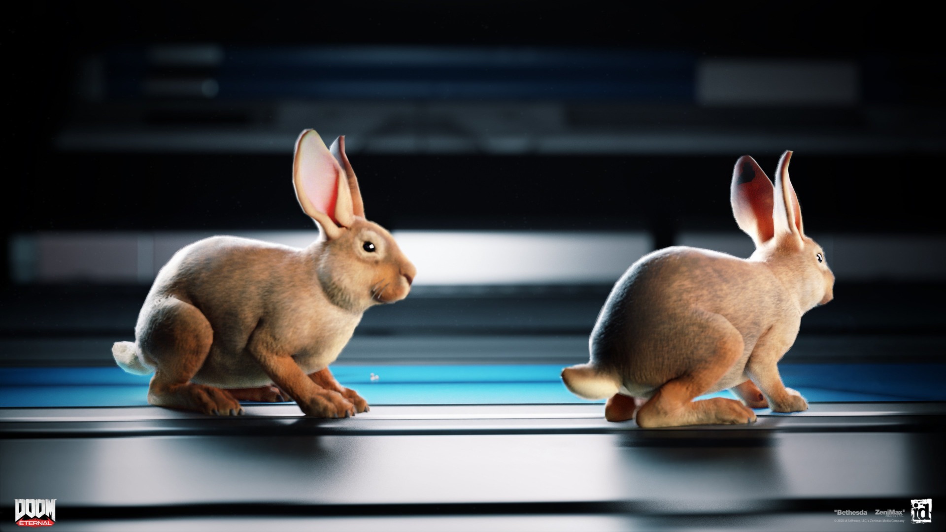 Image: Emanuel Palalic