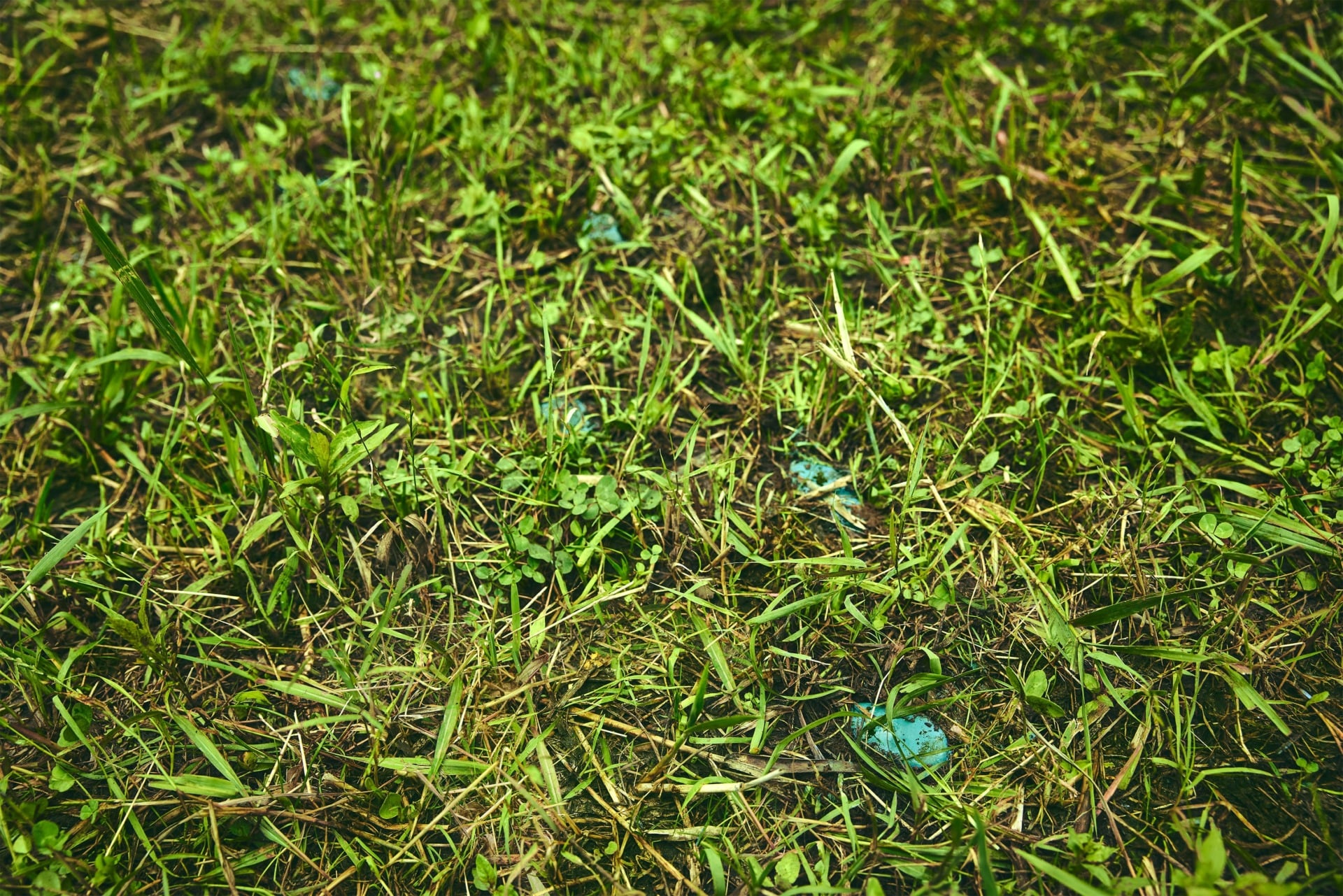 Can you tell what Pokémon that is? 