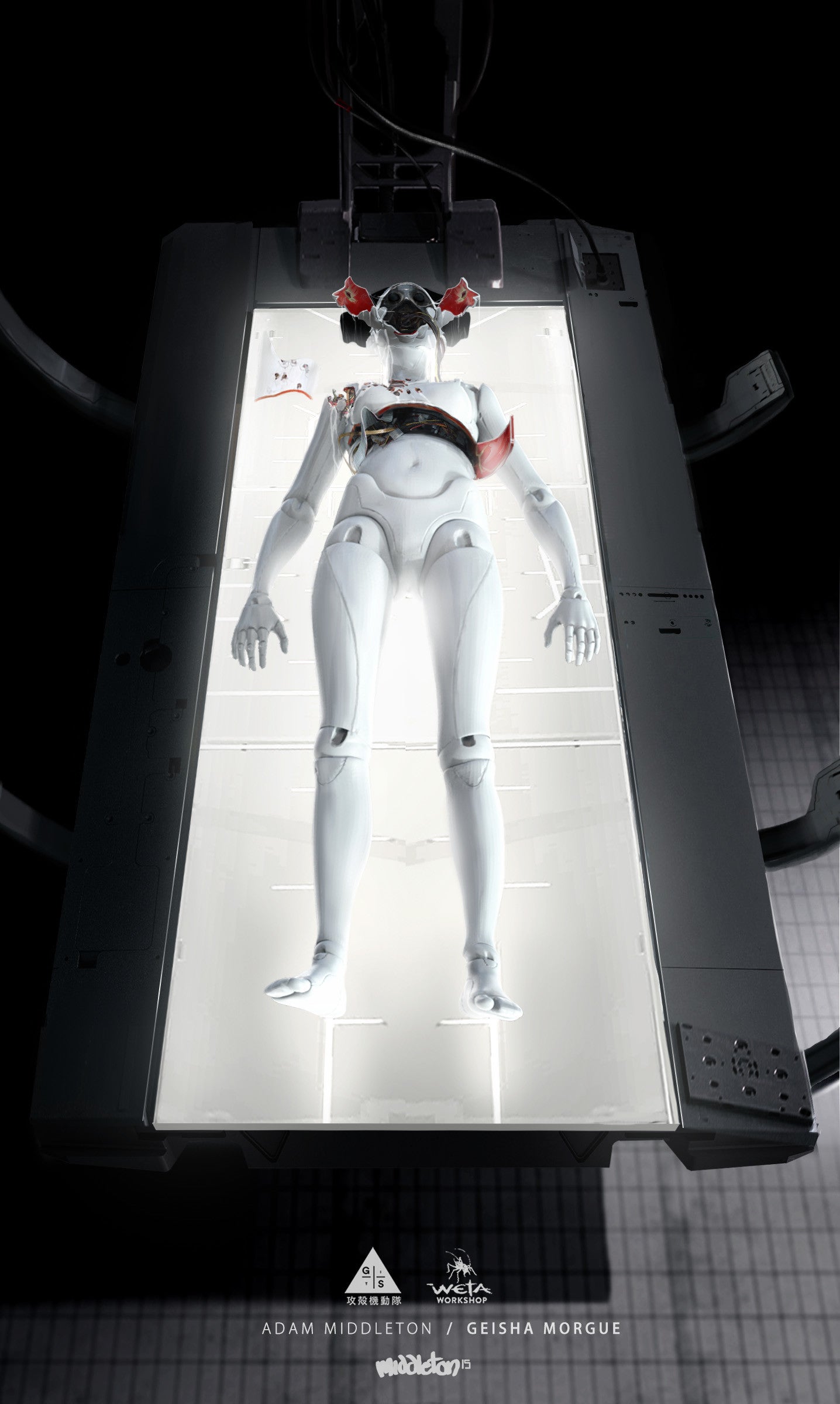 Image: Adam Middleton