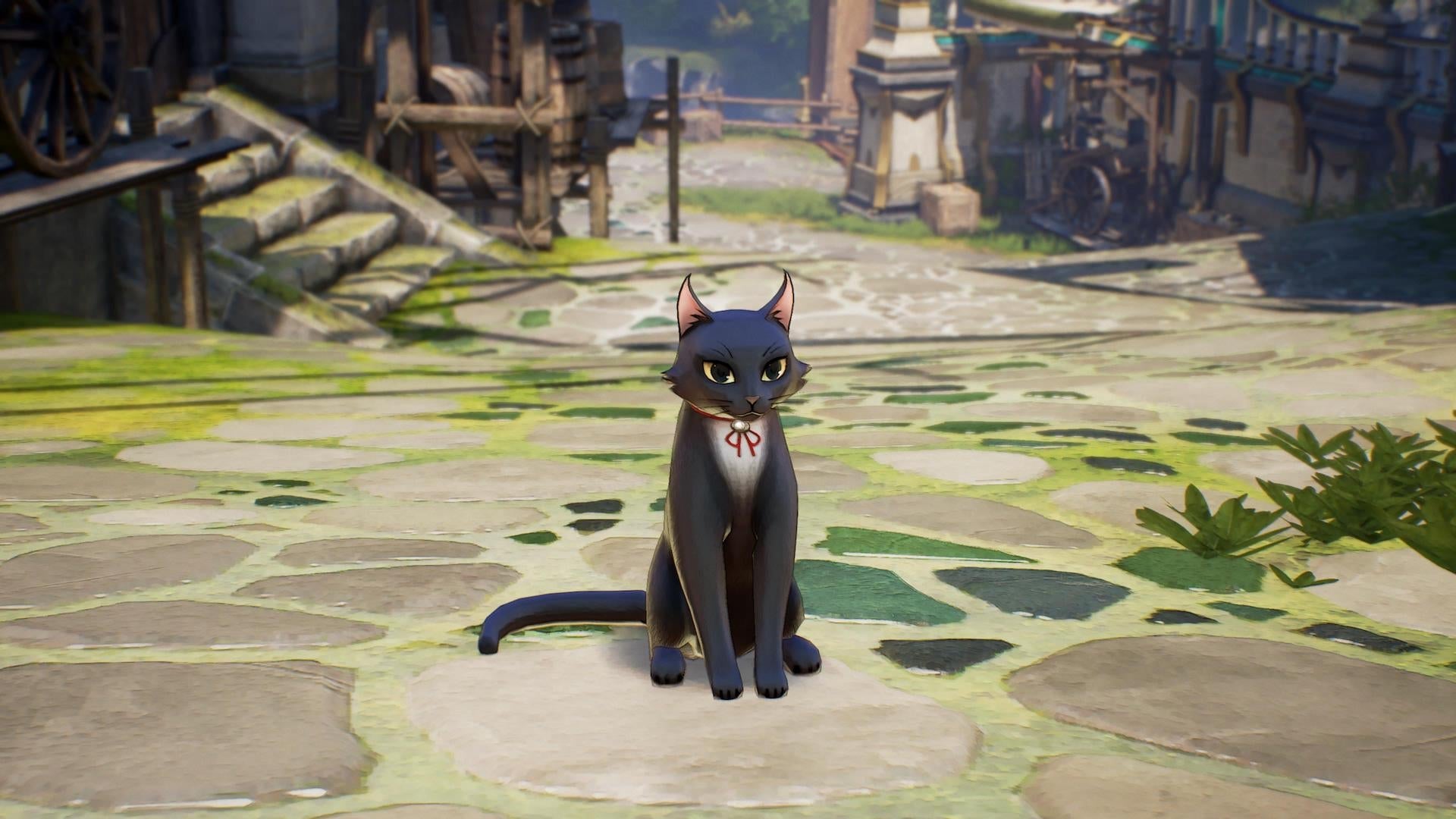 Sadly, you cannot pet the cat.