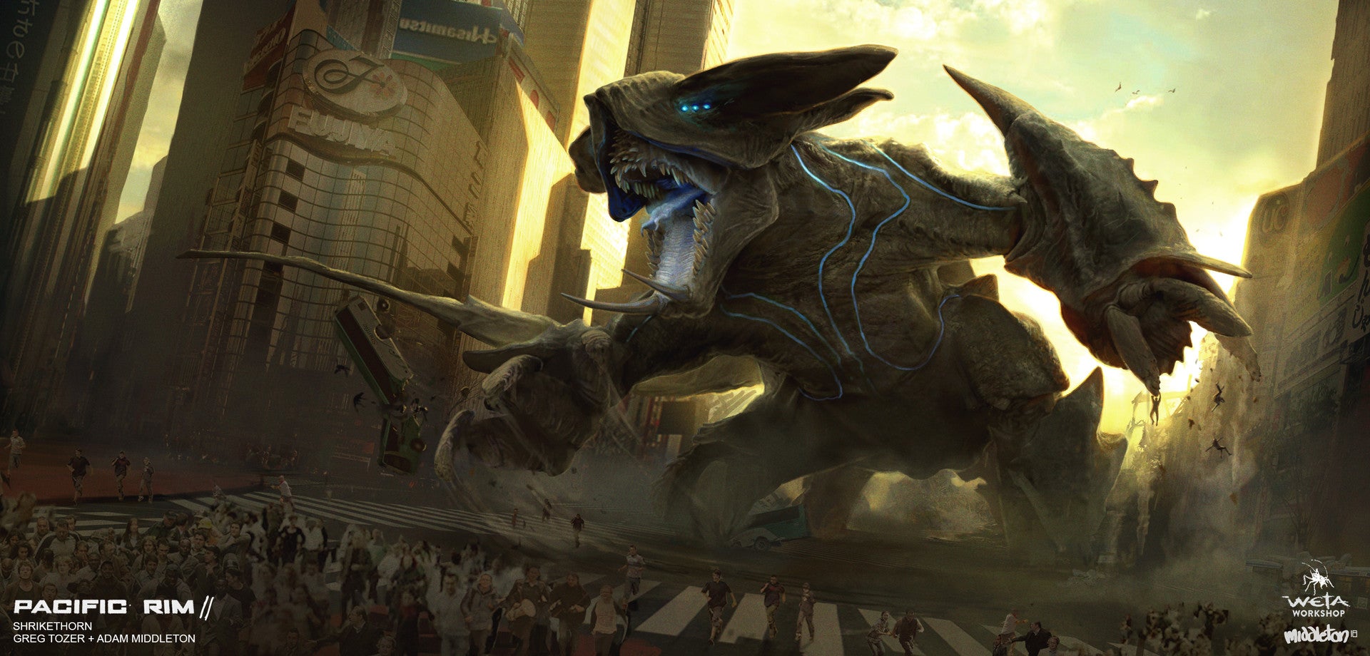 Image: Adam Middleton