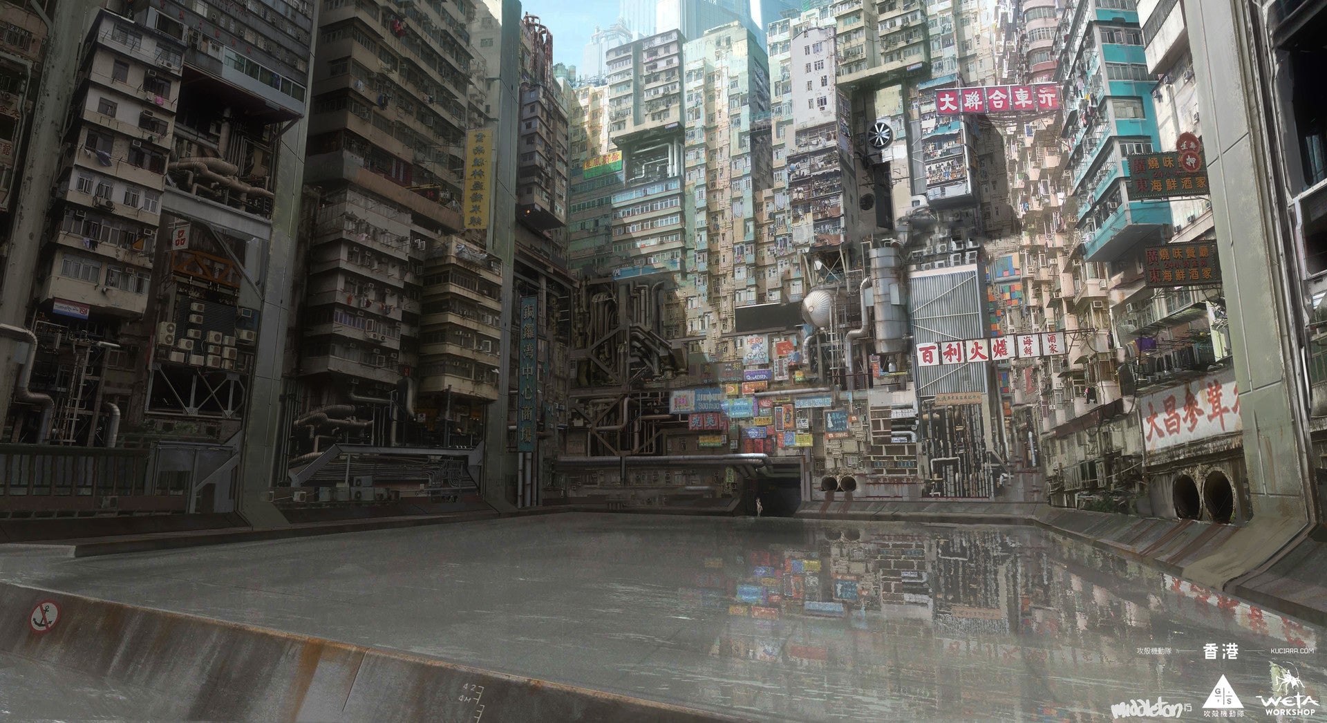 Image: Adam Middleton